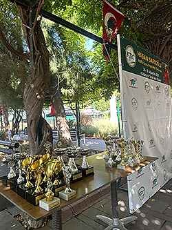 Hasan Sarıoğlu Haftsa Sonu Masters Tenis Turnuvası